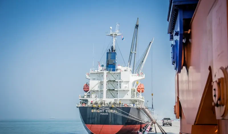 BRIGHT CORAL General Cargo IMO 9754989 photo 9