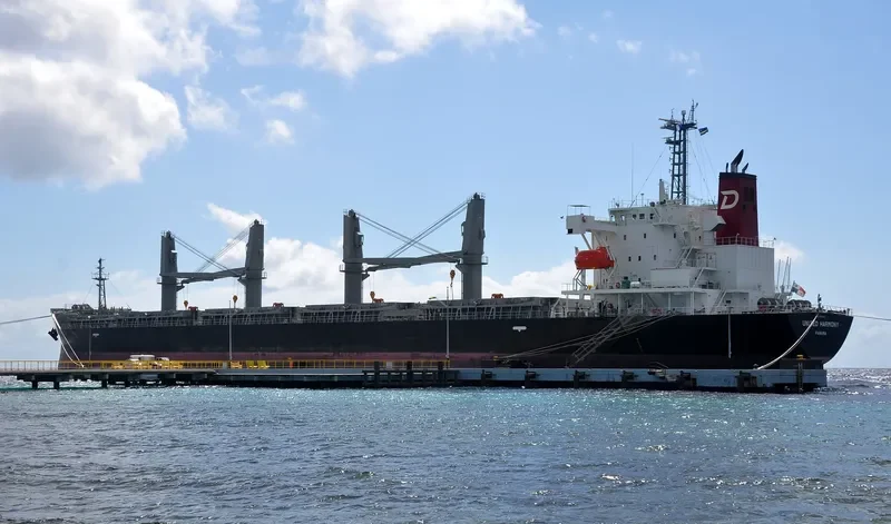 UNITED HARMONY Bulk Carrier IMO 9755672 photo 2