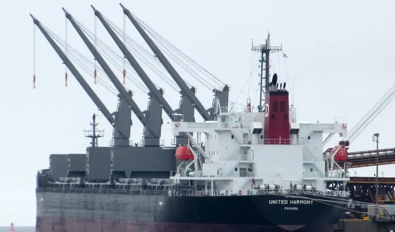 UNITED HARMONY Bulk Carrier IMO 9755672 photo 3