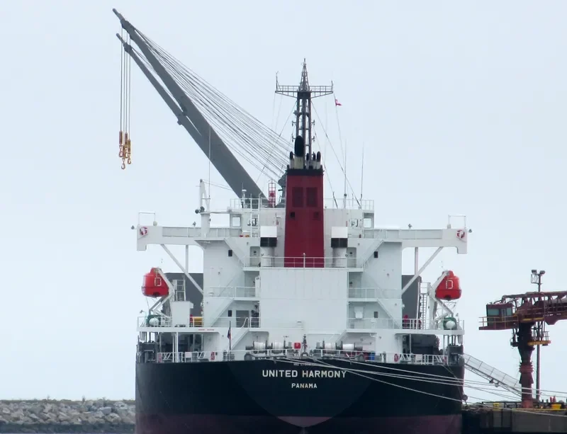 UNITED HARMONY Bulk Carrier IMO 9755672 photo 4