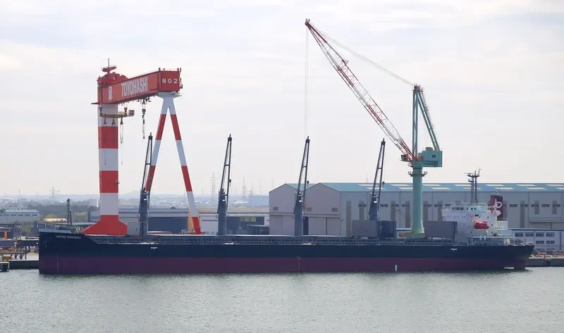 UNITED HARMONY Bulk Carrier IMO 9755672 photo 8