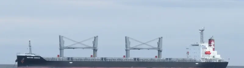 NEWYORK HARMONY Bulk Carrier IMO 9755684