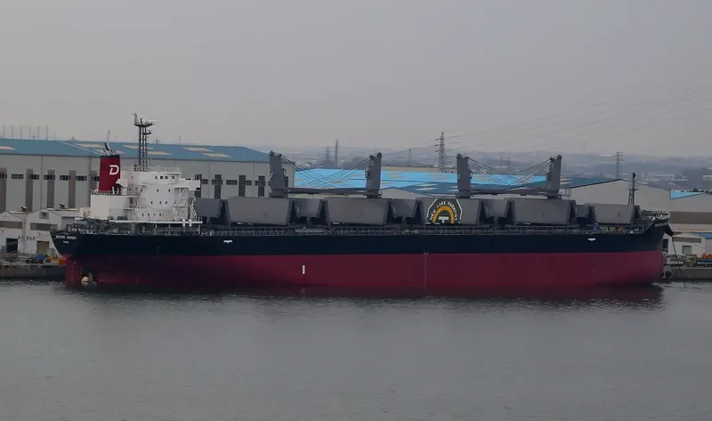 NEWYORK HARMONY Bulk Carrier IMO 9755684 photo 2