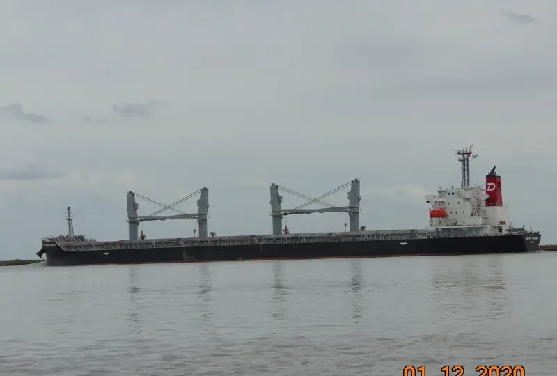 NEWYORK HARMONY Bulk Carrier IMO 9755684 photo 3