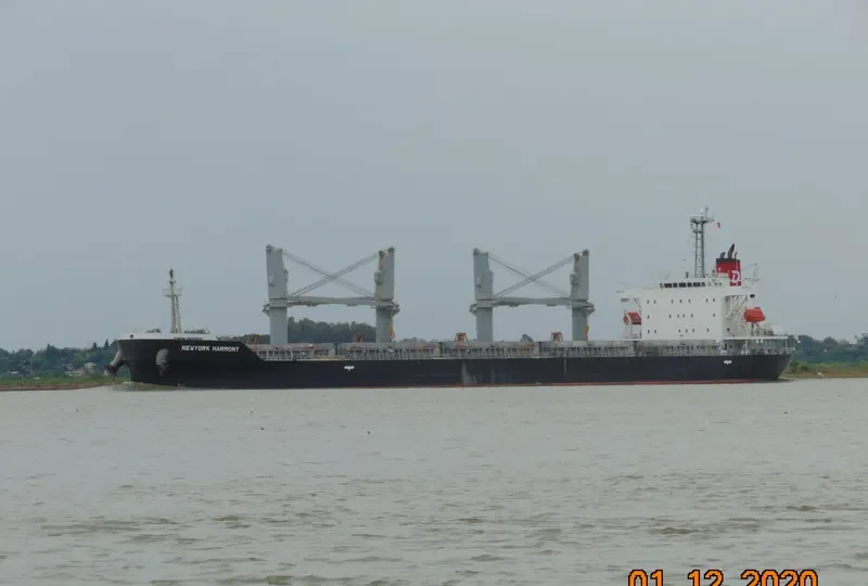NEWYORK HARMONY Bulk Carrier IMO 9755684 photo 4
