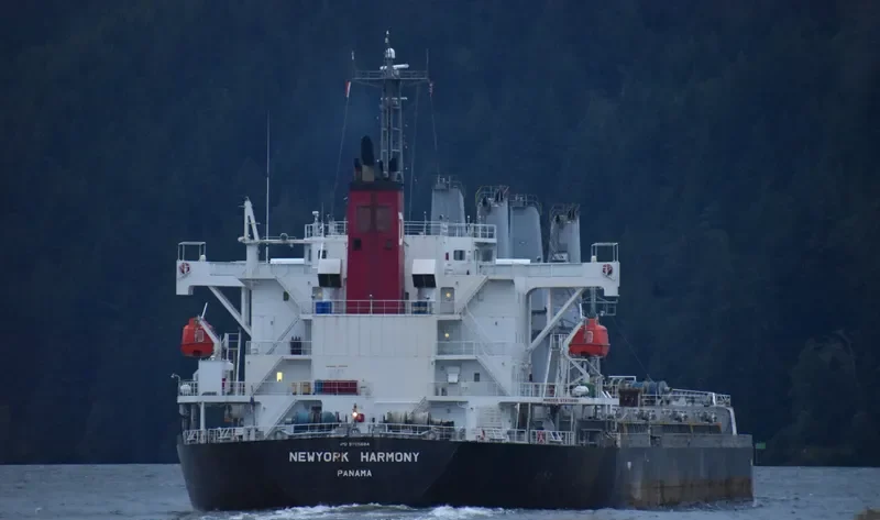 NEWYORK HARMONY Bulk Carrier IMO 9755684 photo 5