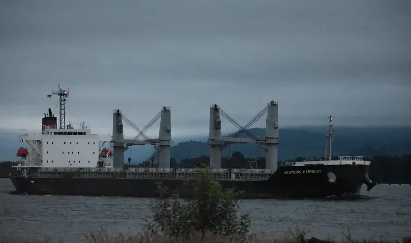 NEWYORK HARMONY Bulk Carrier IMO 9755684 photo 6