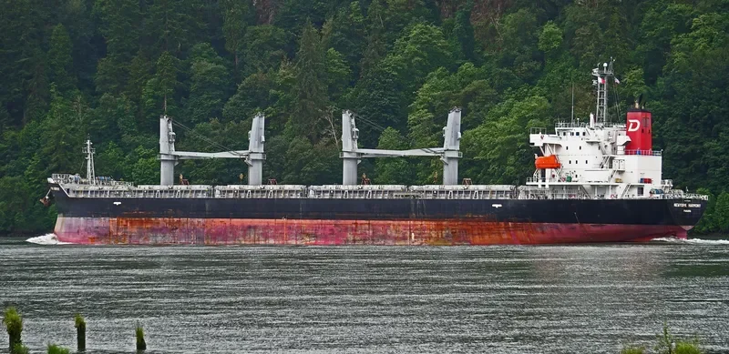 NEWYORK HARMONY Bulk Carrier IMO 9755684 photo 7