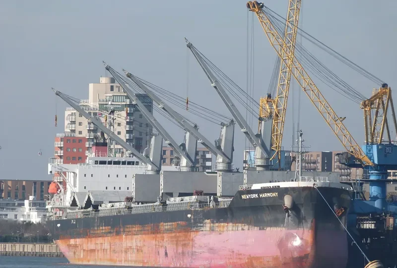 NEWYORK HARMONY Bulk Carrier IMO 9755684 photo 8