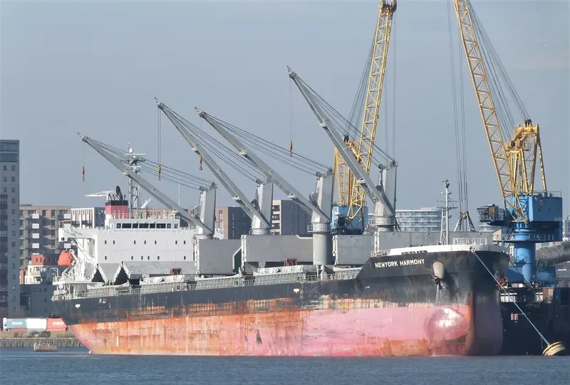 NEWYORK HARMONY Bulk Carrier IMO 9755684 photo 9