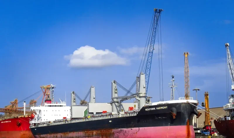 NEWYORK HARMONY Bulk Carrier IMO 9755684 photo 10
