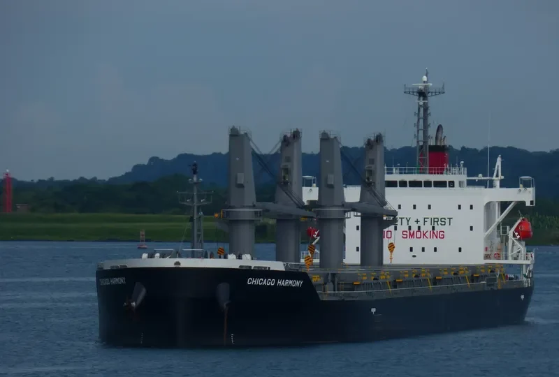 CHICAGO HARMONY Bulk Carrier IMO 9755696