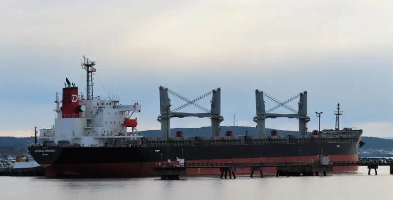 CHICAGO HARMONY Bulk Carrier IMO 9755696 photo 3