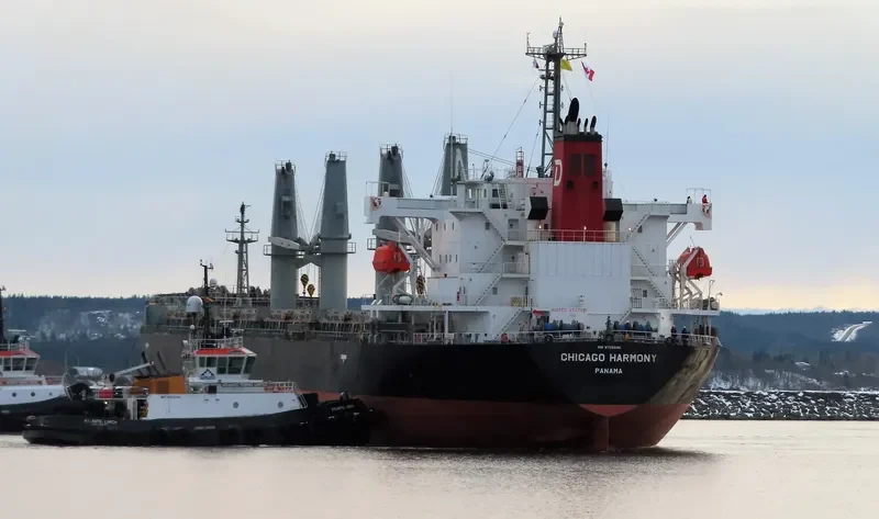 CHICAGO HARMONY Bulk Carrier IMO 9755696 photo 4