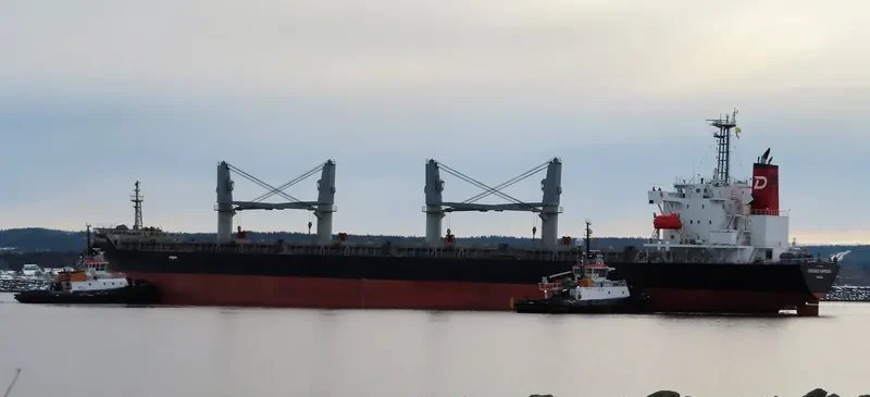CHICAGO HARMONY Bulk Carrier IMO 9755696 photo 5