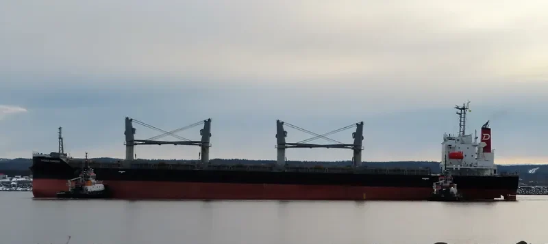 CHICAGO HARMONY Bulk Carrier IMO 9755696 photo 6
