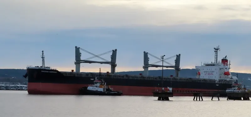 CHICAGO HARMONY Bulk Carrier IMO 9755696 photo 7