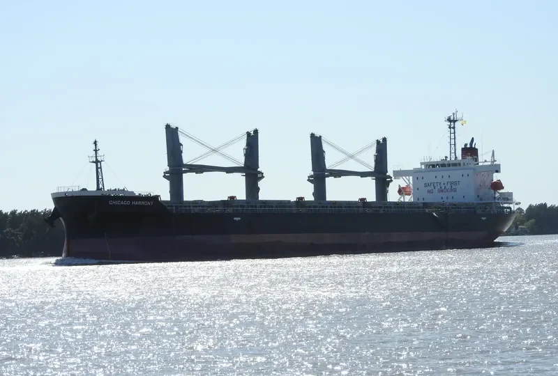 CHICAGO HARMONY Bulk Carrier IMO 9755696 photo 8