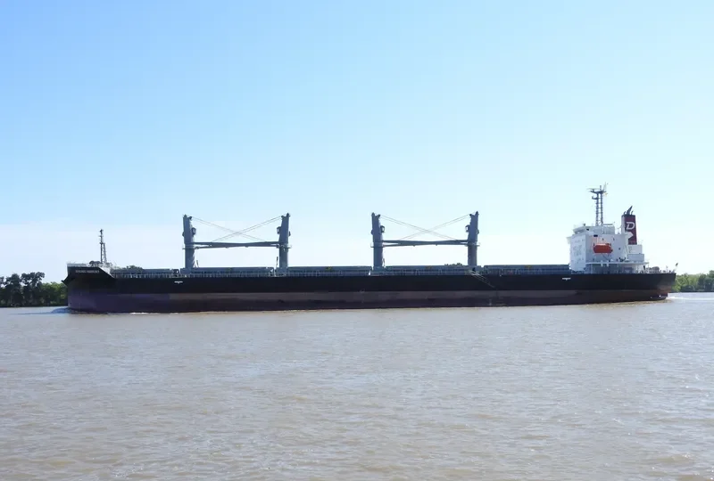 CHICAGO HARMONY Bulk Carrier IMO 9755696 photo 9