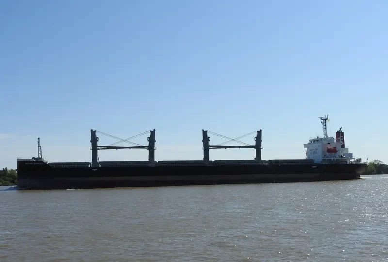 CHICAGO HARMONY Bulk Carrier IMO 9755696 photo 10