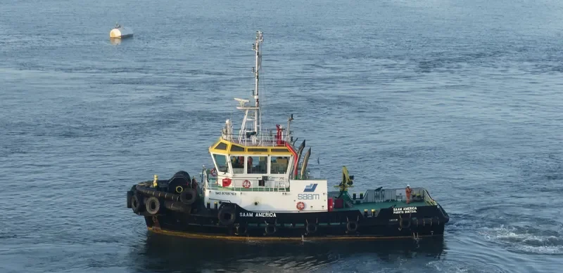 SAAM AMERICA General Cargo IMO 9755763 photo 3