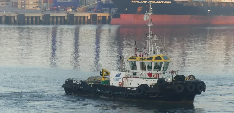 SAAM AMERICA General Cargo IMO 9755763 photo 4