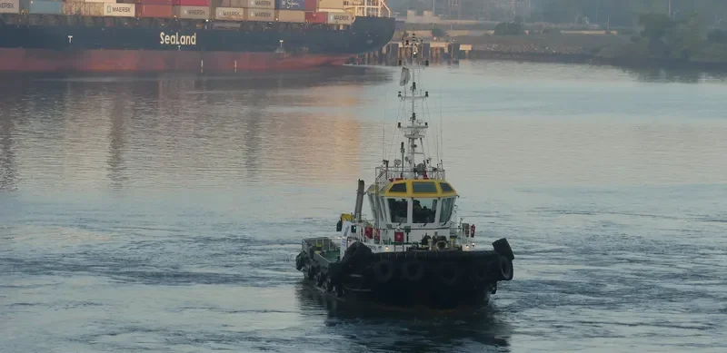 SAAM AMERICA General Cargo IMO 9755763 photo 5