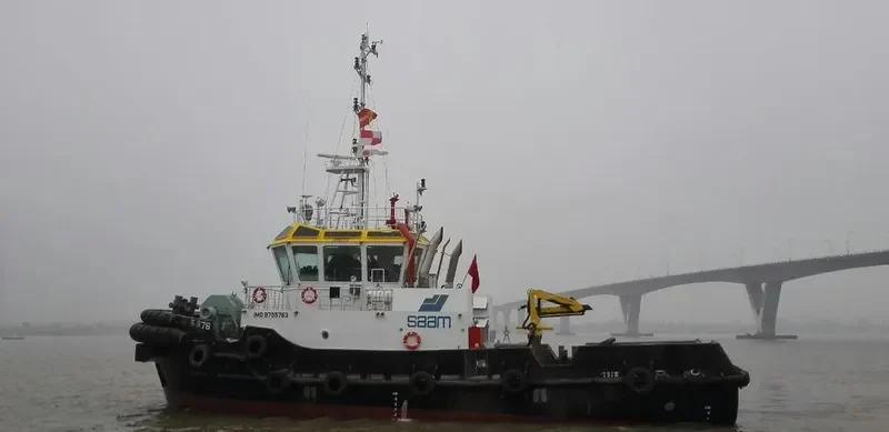 SAAM AMERICA General Cargo IMO 9755763 photo 7