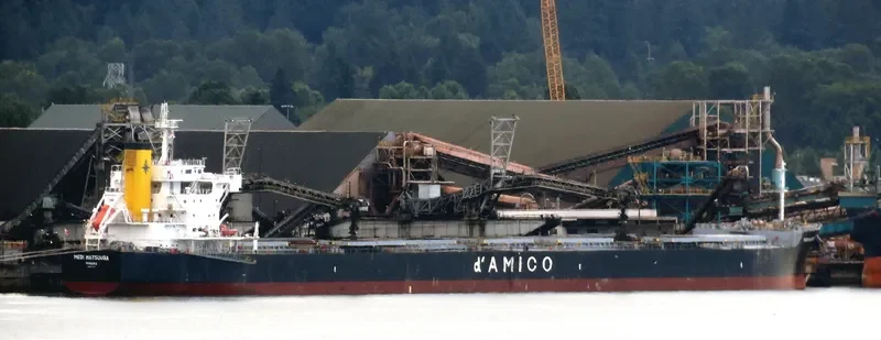 MEDI MATSUURA Bulk Carrier IMO 9755804 photo 2