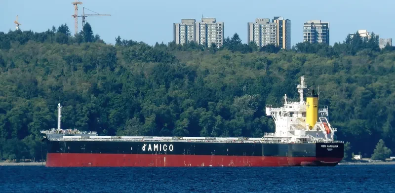 MEDI MATSUURA Bulk Carrier IMO 9755804 photo 3