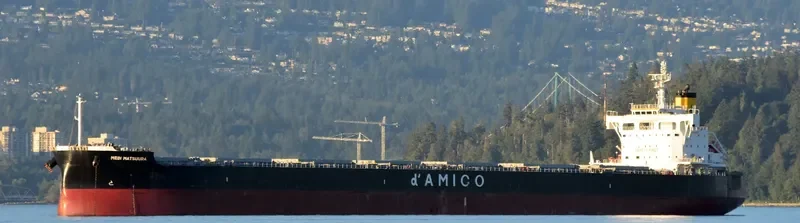 MEDI MATSUURA Bulk Carrier IMO 9755804 photo 4