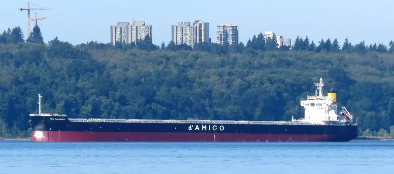 MEDI MATSUURA Bulk Carrier IMO 9755804 photo 7