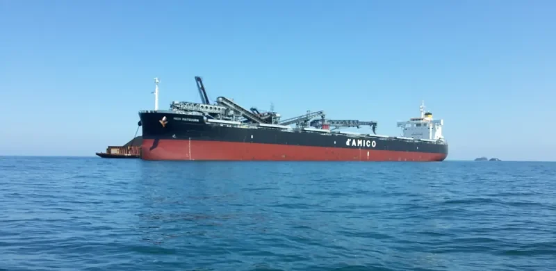MEDI MATSUURA Bulk Carrier IMO 9755804 photo 9