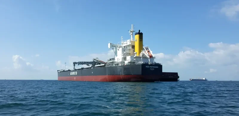 MEDI MATSUURA Bulk Carrier IMO 9755804 photo 10
