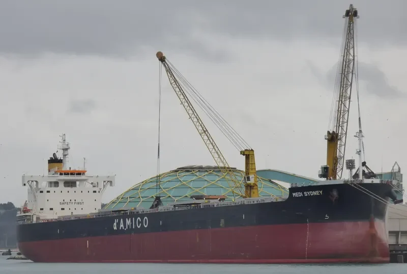 MEDI SYDNEY Bulk Carrier IMO 9755816