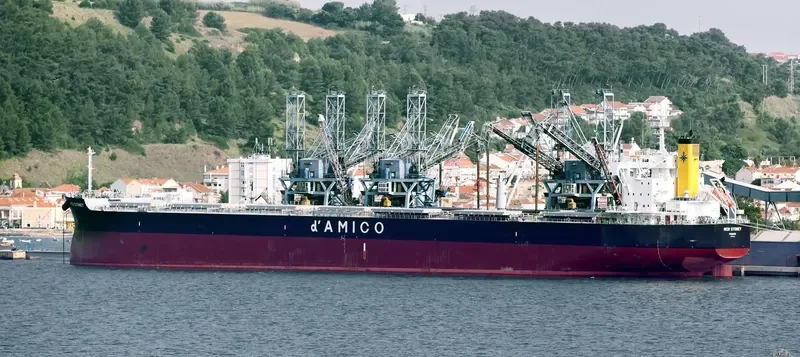 MEDI SYDNEY Bulk Carrier IMO 9755816 photo 3