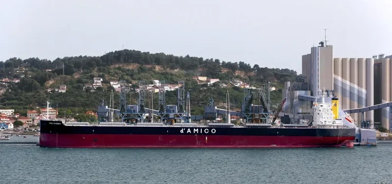 MEDI SYDNEY Bulk Carrier IMO 9755816 photo 4