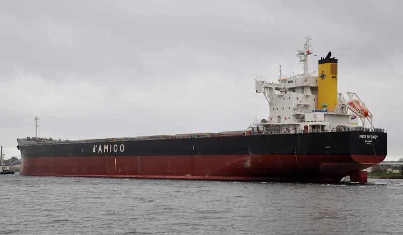 MEDI SYDNEY Bulk Carrier IMO 9755816 photo 9