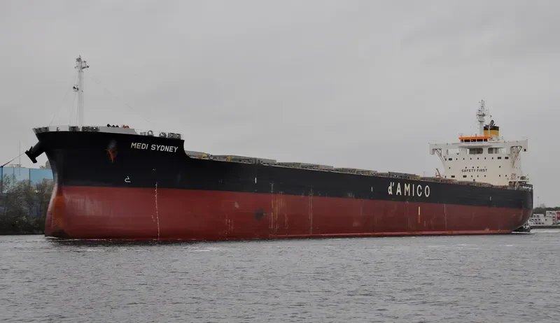 MEDI SYDNEY Bulk Carrier IMO 9755816 photo 10