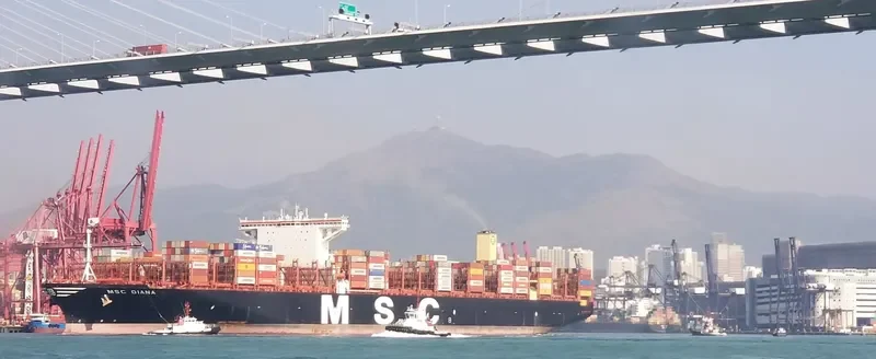 MSC DIANA Container Ship IMO 9755933 photo 2