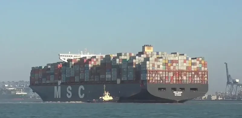 MSC DIANA Container Ship IMO 9755933 photo 4