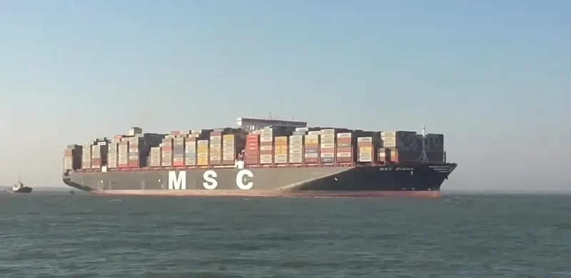 MSC DIANA Container Ship IMO 9755933 photo 7