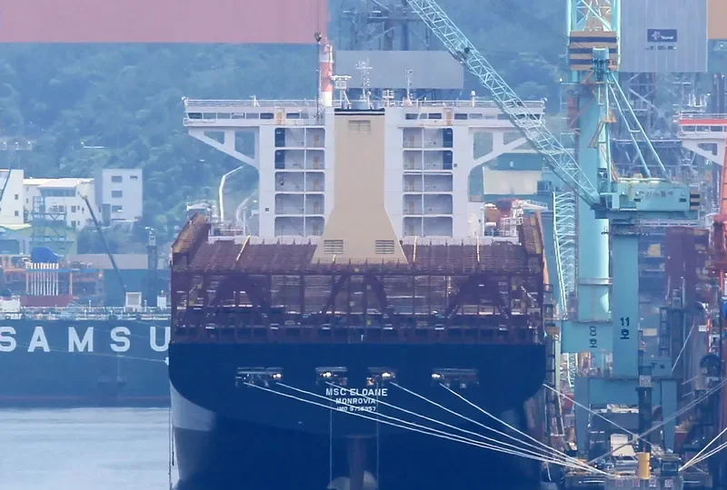 MSC ELOANE Container Ship IMO 9755957 photo 2