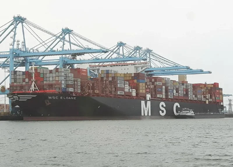 MSC ELOANE Container Ship IMO 9755957 photo 3