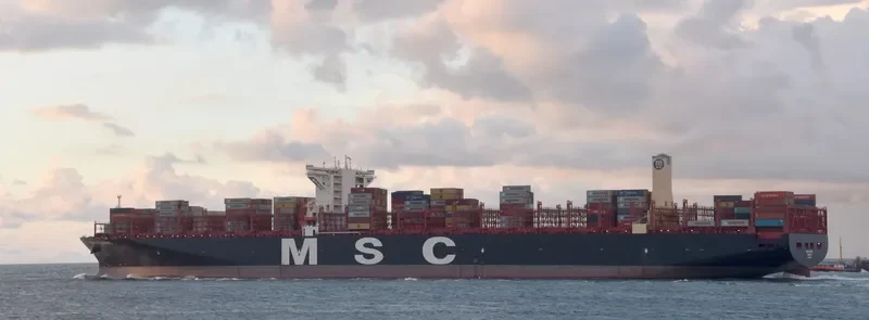 MSC ELOANE Container Ship IMO 9755957 photo 7