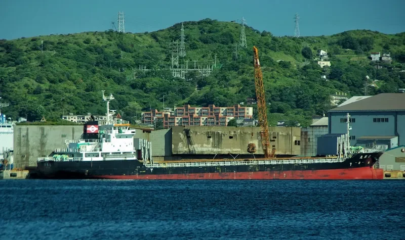 NIKKOU MARU General Cargo IMO 9756054