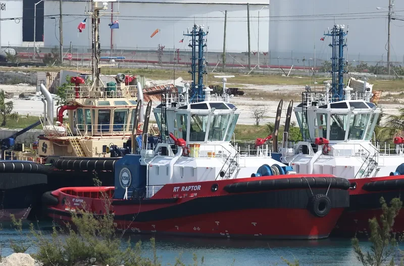 RT RAPTOR General Cargo IMO 9756456