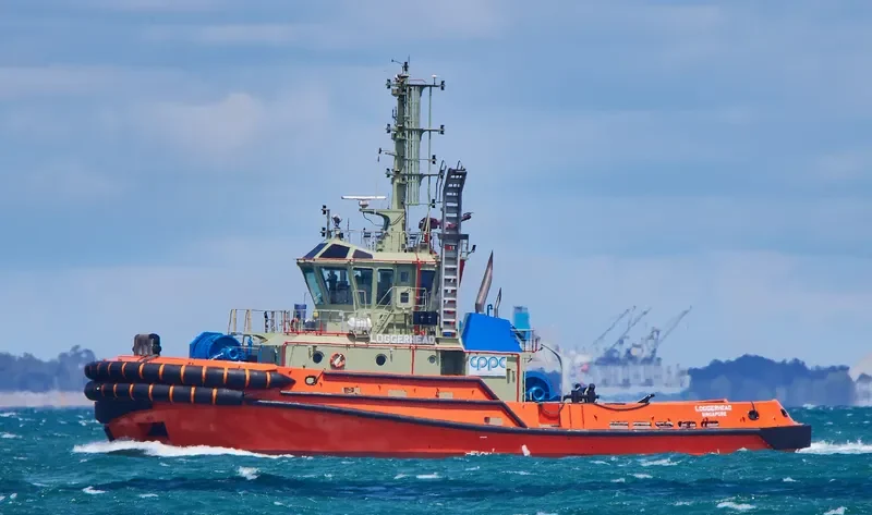 LOGGERHEAD General Cargo IMO 9756559 photo 2
