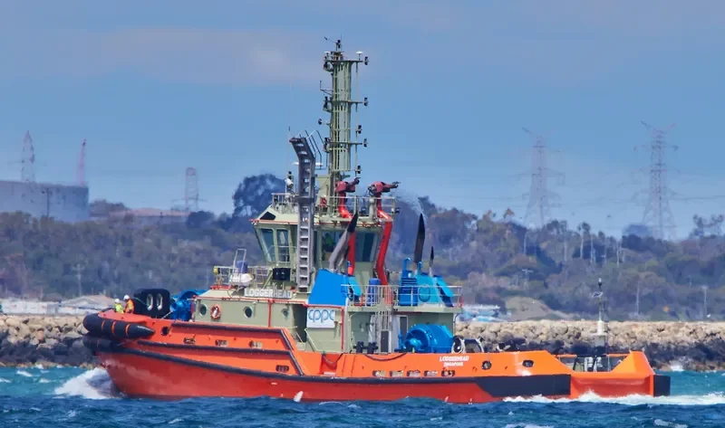 LOGGERHEAD General Cargo IMO 9756559 photo 3