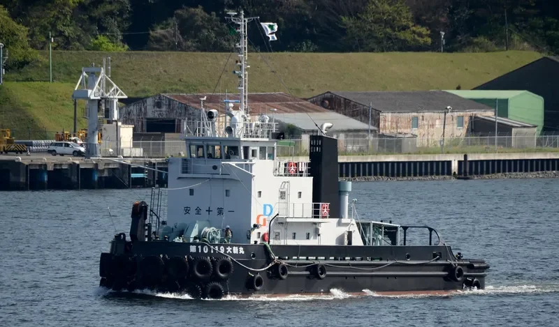 DAISHIN MARU NO.10119 General Cargo IMO 9756688 photo 2